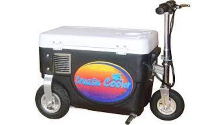 750 Watt Electric Crusin Cooler | Rental