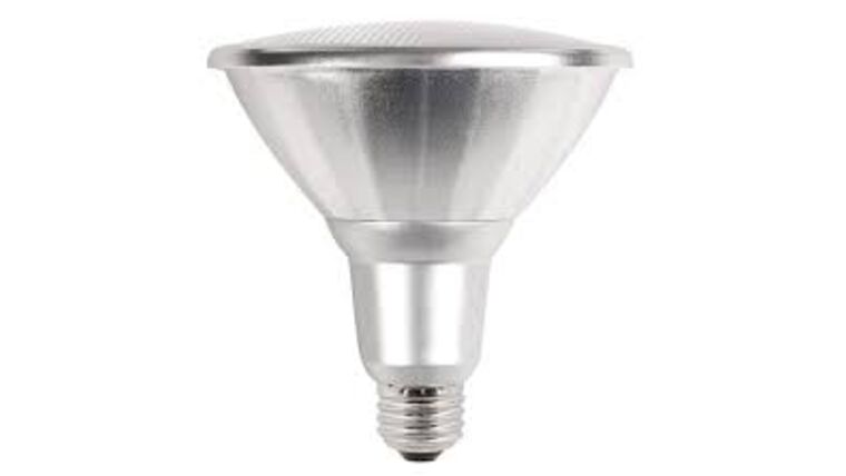 Light Bulb – 100W Halogen Transparent 25 Degree Flood | Rental