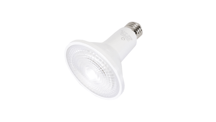 50W – 120V – Green Reflector Flood Light Bulb | Rental