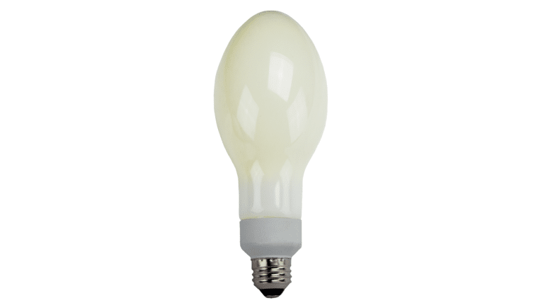 Light Bulb – 150W Halogen Transparent Flood | Rental