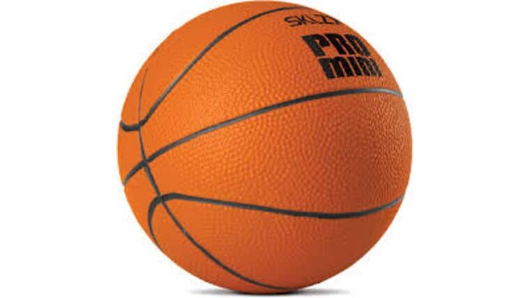 5″ Mini Basketball | Rental 5″ Mini Basketball | Rental