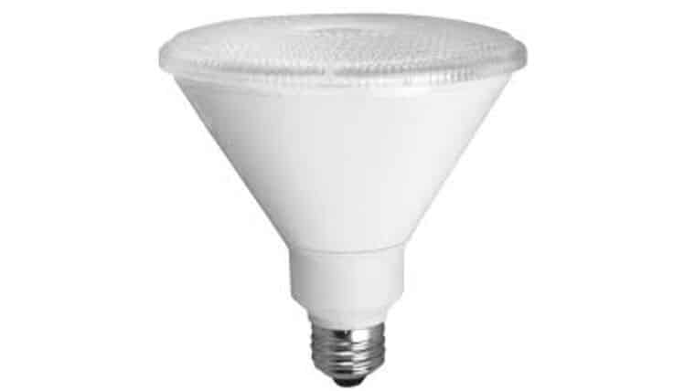 Light Bulb – PAR 38 – 86W – 120V Flood | Rental