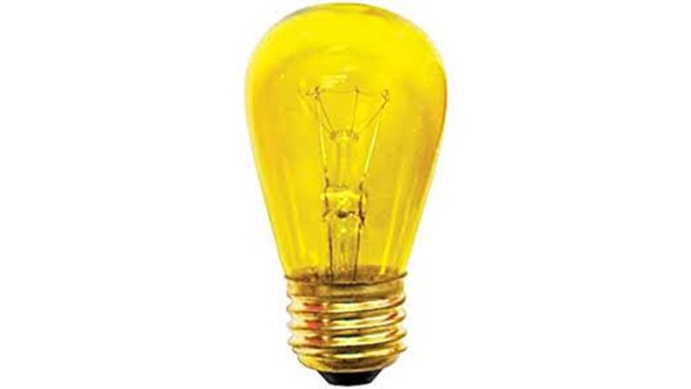 Light Bulb – S14 – 11W – 130V – Transparent Yellow Incandescent | Rental