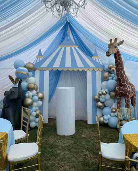 Blue Circus / Carnival Tent Backdrop | Rental