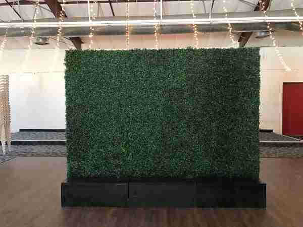 Hedge Wall With Black Base | Rental