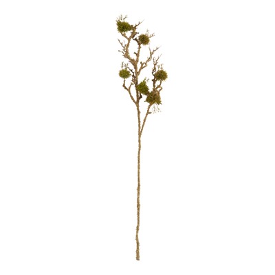 BR323 Moss Branch | Rental BR323 Moss Branch | Rental