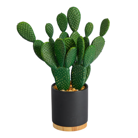 10” Cactus Succulent Artificial Plant in Planter | Rental 10” Cactus Succulent Artificial Plant in Planter | Rental