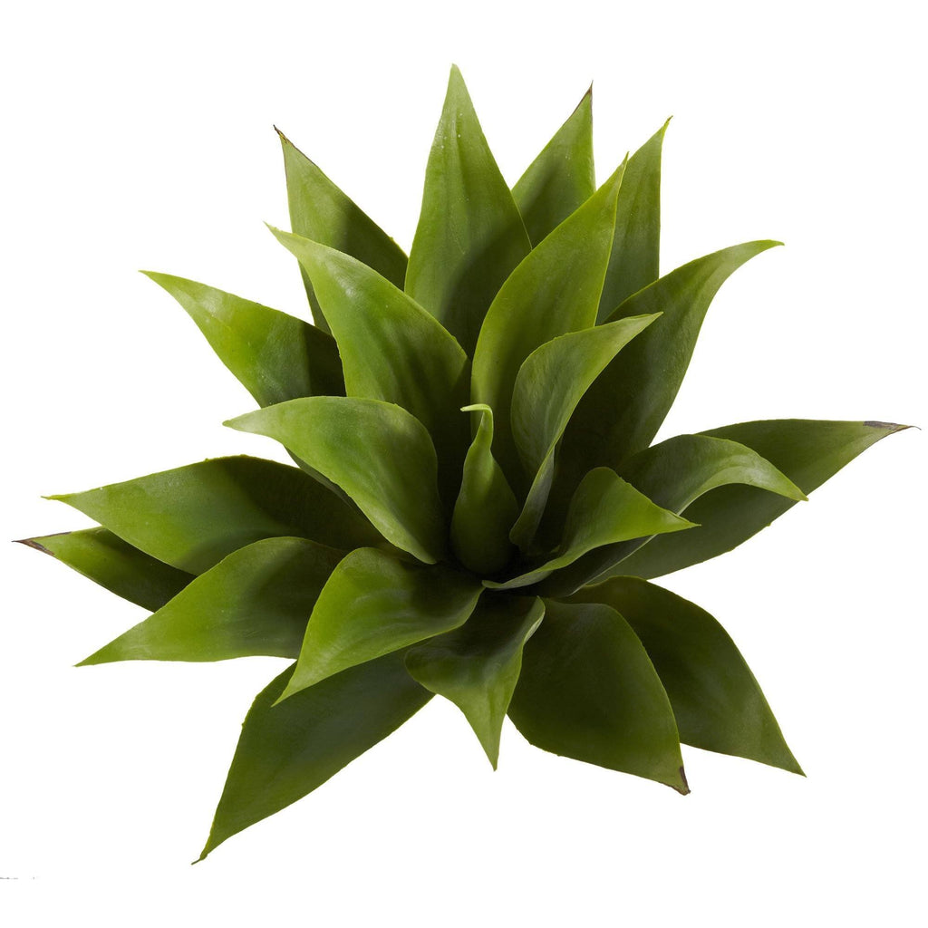17” Agave Succulent Plant (Set of 2) | Rental 17” Agave Succulent Plant (Set of 2) | Rental