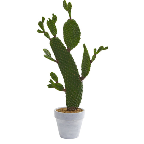 27” Cactus Artificial Plant | Rental 27” Cactus Artificial Plant | Rental
