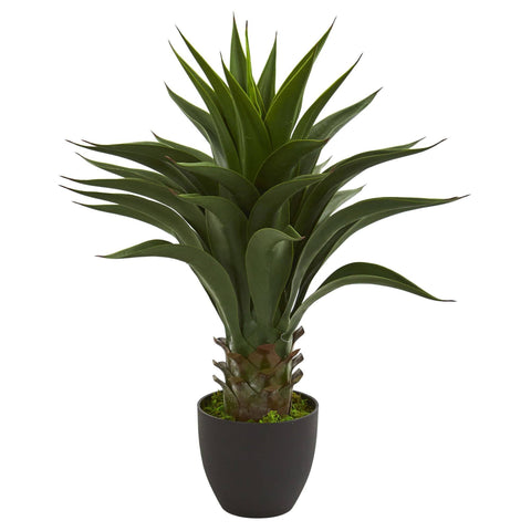 28” Agave Artificial Plant | Rental