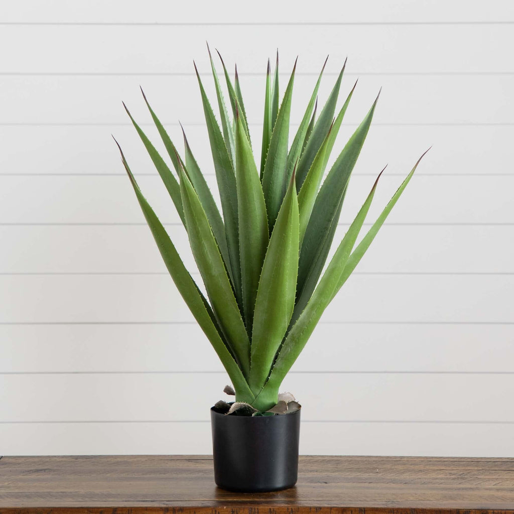 28” Artificial Agave Plant | Rental 28” Artificial Agave Plant | Rental
