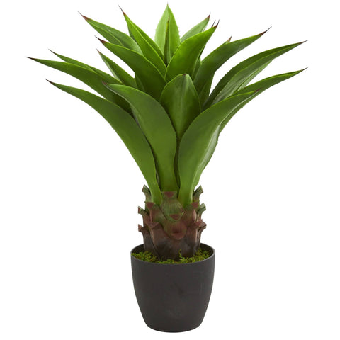 30” Agave Artificial Plant | Rental