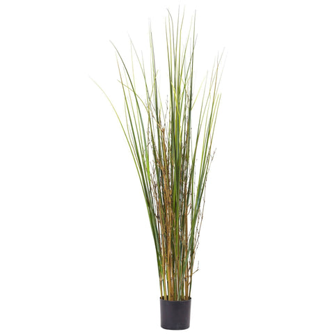 4′ Grass & Bamboo Plant | Rental