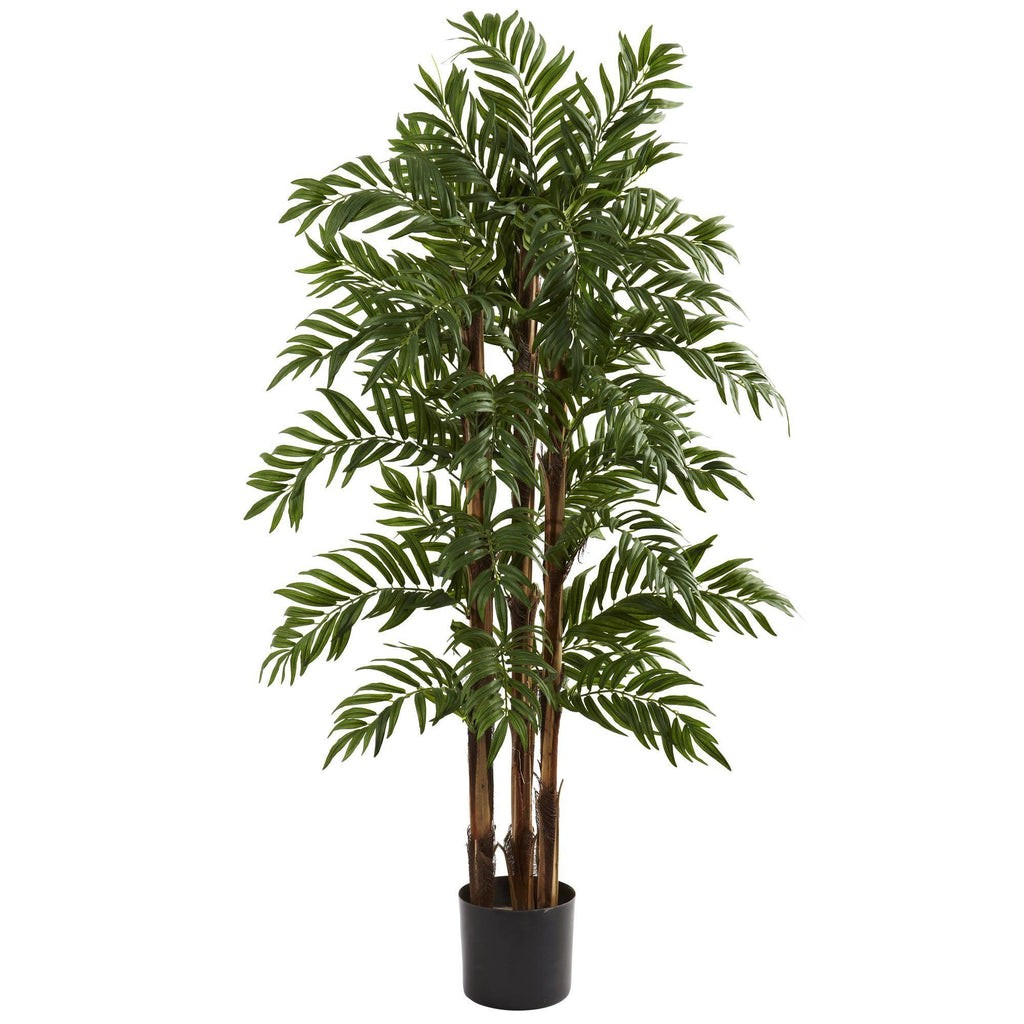 4’ Parlour Palm Tree | Rental