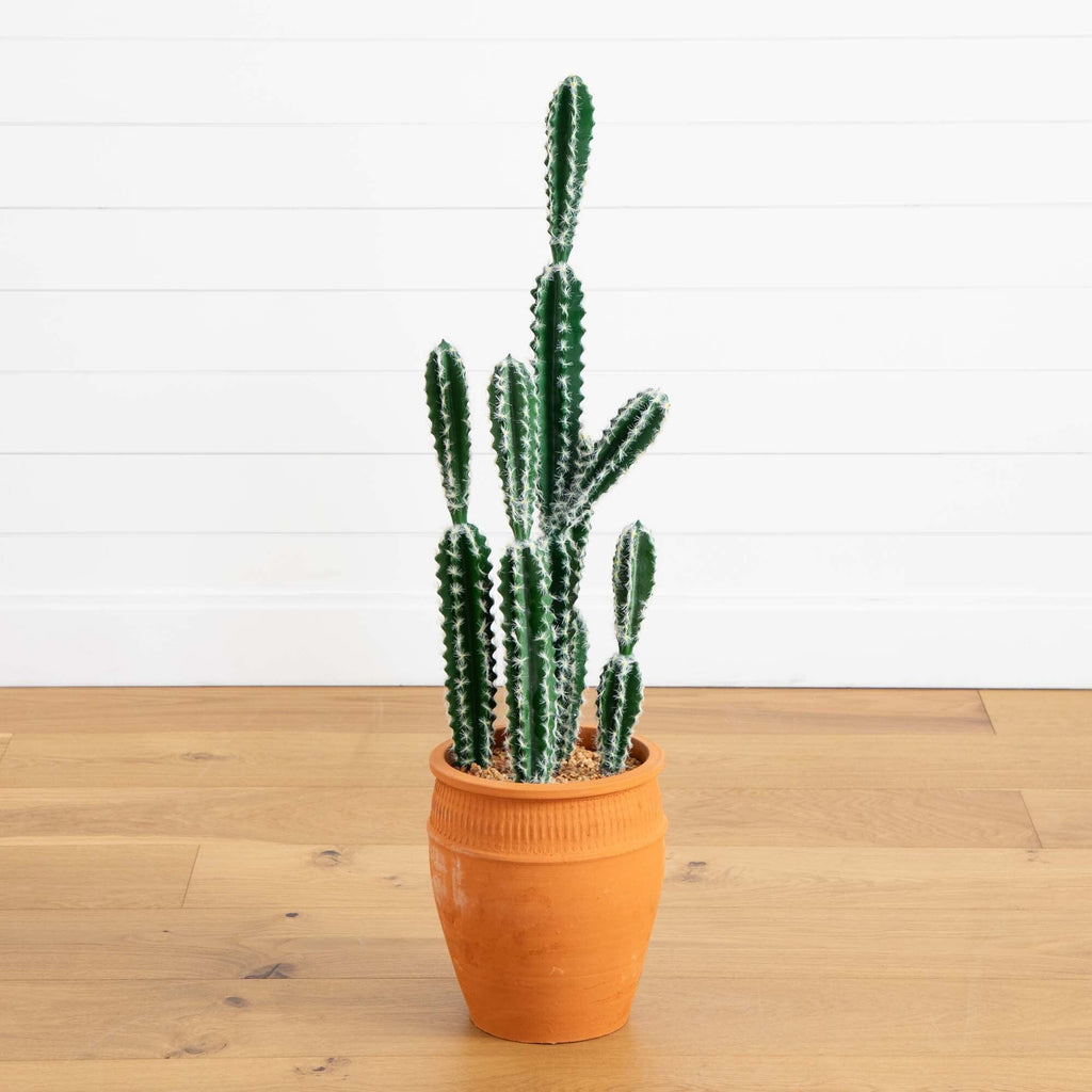 41” Artificial Cactus in Terracotta Planter | Rental 41” Artificial Cactus in Terracotta Planter | Rental