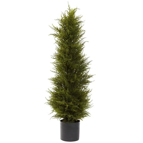 42” Cedar Tree | Rental 42” Cedar Tree | Rental