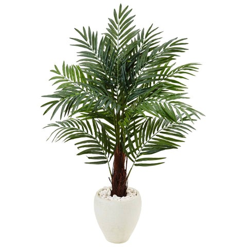 4.5’ Areca Palm Tree in White Oval Planter | Rental