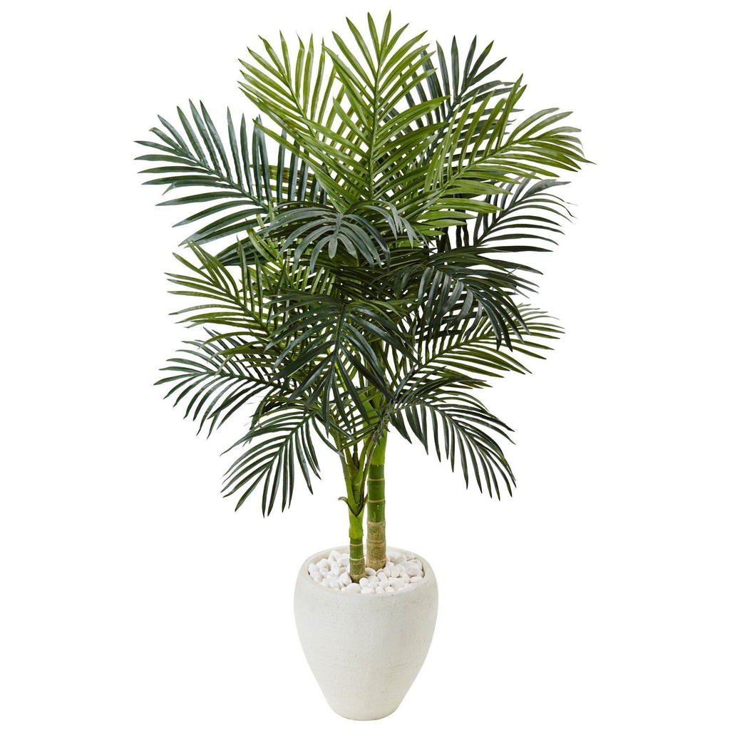 4.5’ Golden Cane Palm Tree in White Oval Planter | Rental