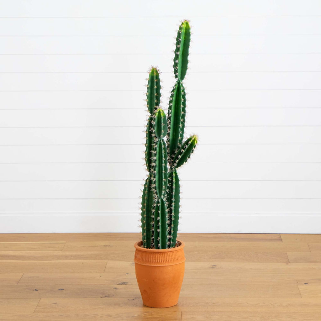 5’ Artificial Cactus in Terracotta Planter | Rental