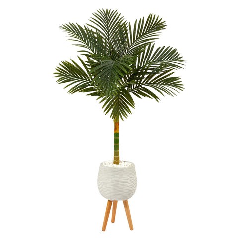 5’ Golden Cane Artificial Palm Tree in White Planter with Stand | Rental 5’ Golden Cane Artificial Palm Tree in White Planter with Stand | Rental