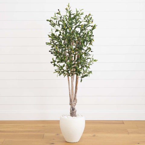 5’ Olive Tree in White Oval Planter | Rental 5’ Olive Tree in White Oval Planter | Rental