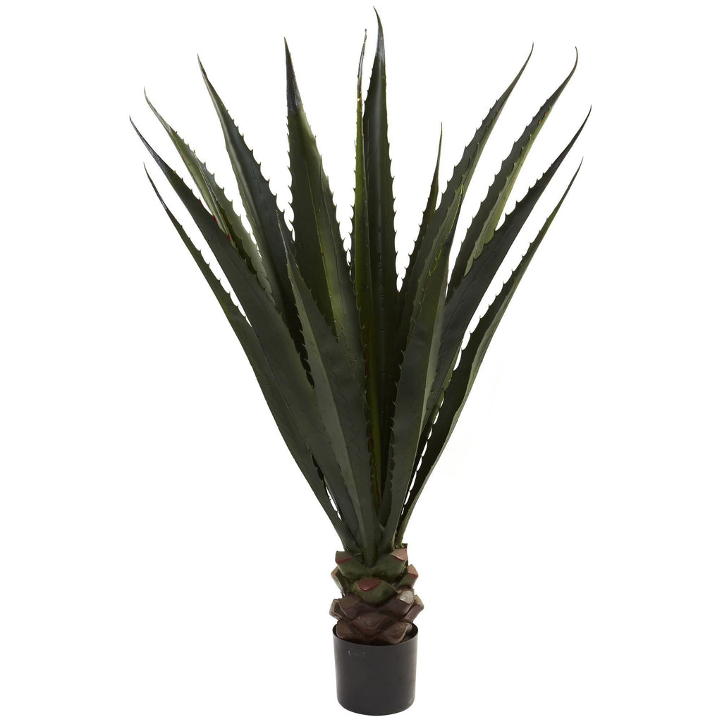 52” Giant Agave Plant | Rental