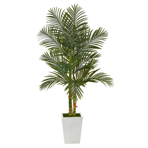 5.5’ Golden Cane Artificial Palm Tree in White Metal Planter | Rental