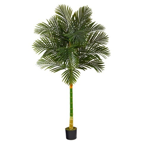 6’ Single Stalk Golden Cane Artificial Palm Tree | Rental 6’ Single Stalk Golden Cane Artificial Palm Tree | Rental