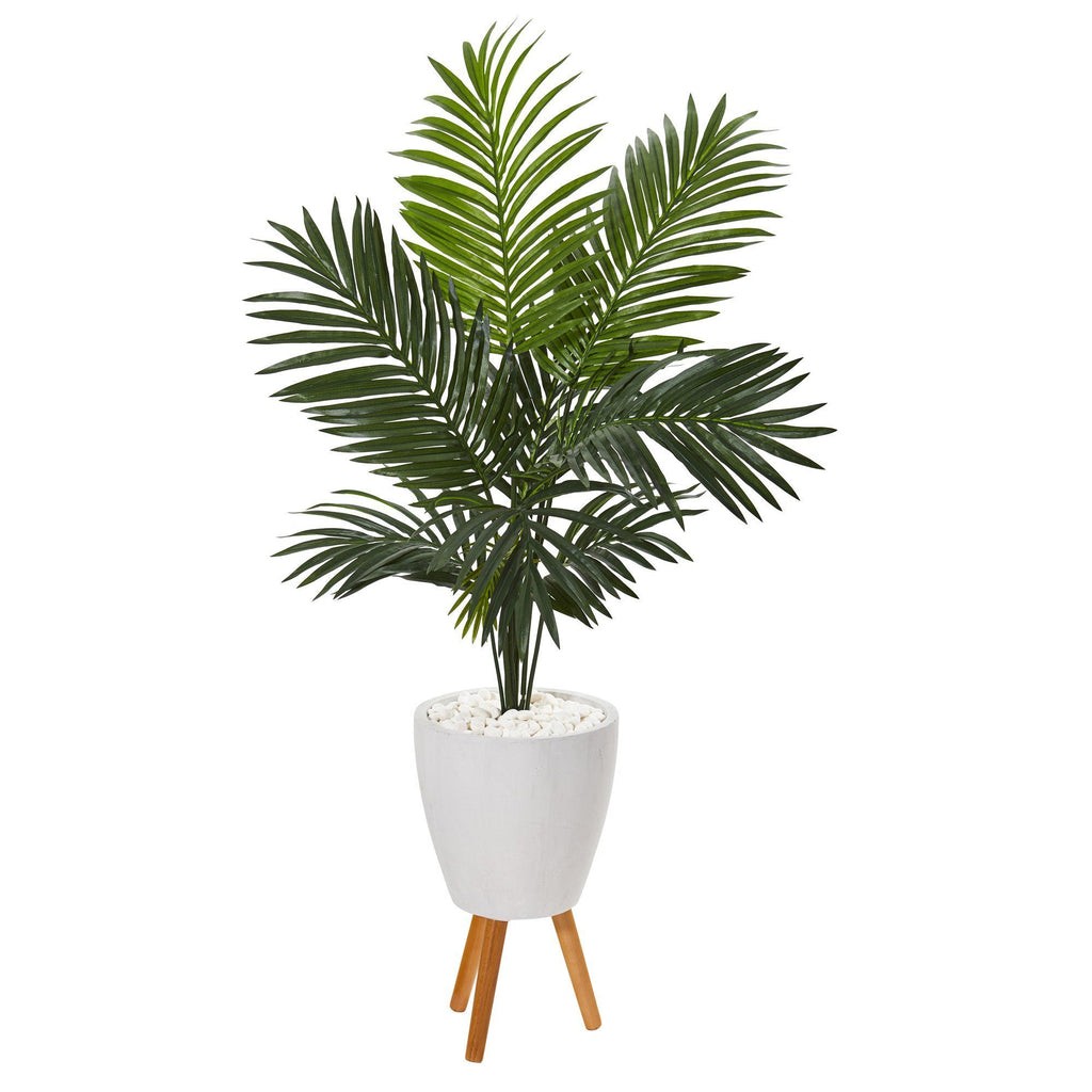 61” Paradise Palm Artificial Tree in White Planter with Stand | Rental