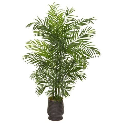 65” Areca Artificial Palm Tree in Decorative Planter(Indoor/Outdoor) | Rental 65” Areca Artificial Palm Tree in Decorative Planter(Indoor/Outdoor) | Rental