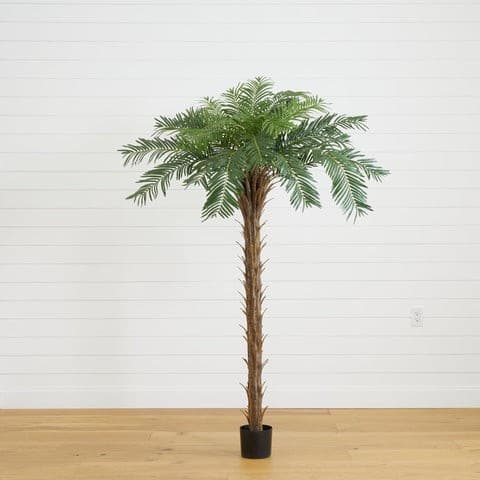 7’ Cycas Palm Artificial Tree | Rental 7’ Cycas Palm Artificial Tree | Rental