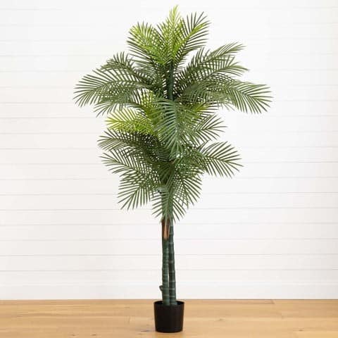 7’ Double Robellini Palm Tree UV Resistant (Indoor/Outdoor) | Rental 7’ Double Robellini Palm Tree UV Resistant (Indoor/Outdoor) | Rental