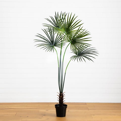 7’ Fan Palm Tree UV Resistant (Indoor/Outdoor) | Rental 7’ Fan Palm Tree UV Resistant (Indoor/Outdoor) | Rental