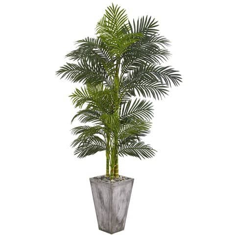 7’ Golden Cane Artificial Palm Tree in Cement Planter | Rental 7’ Golden Cane Artificial Palm Tree in Cement Planter | Rental