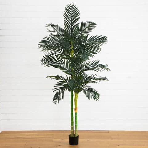 8′ Golden Cane Palm Silk Tree | Rental 8′ Golden Cane Palm Silk Tree | Rental
