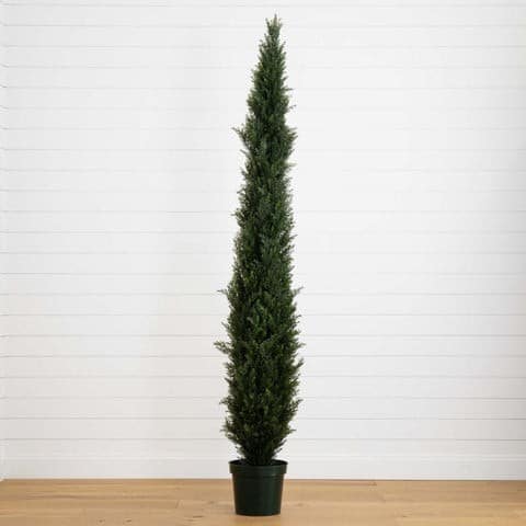 8′ Mini Cedar Pine Tree w/4249 tips in 12” Pot (Two Tone Green) | Rental 8′ Mini Cedar Pine Tree w/4249 tips in 12” Pot (Two Tone Green) | Rental