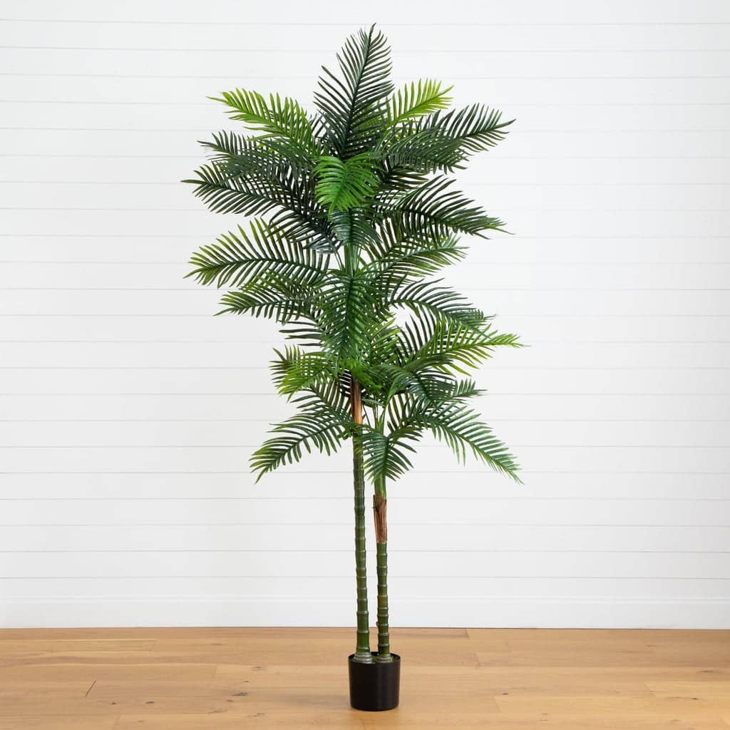 8’ UV Resistant Artificial Double Robellini Palm Tree (Indoor/Outdoor) | Rental 8’ UV Resistant Artificial Double Robellini Palm Tree (Indoor/Outdoor) | Rental