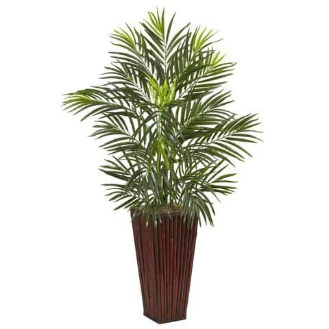 Areca Palm in Bamboo Planter | Rental Areca Palm in Bamboo Planter | Rental