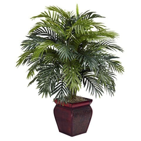 Areca w/Decorative Planter Silk Plant | Rental Areca w/Decorative Planter Silk Plant | Rental
