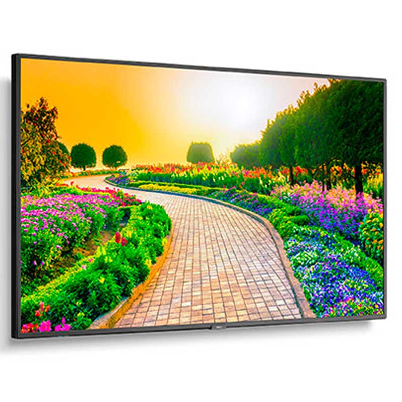 NEC 43″ M431 4K Monitor | Rental