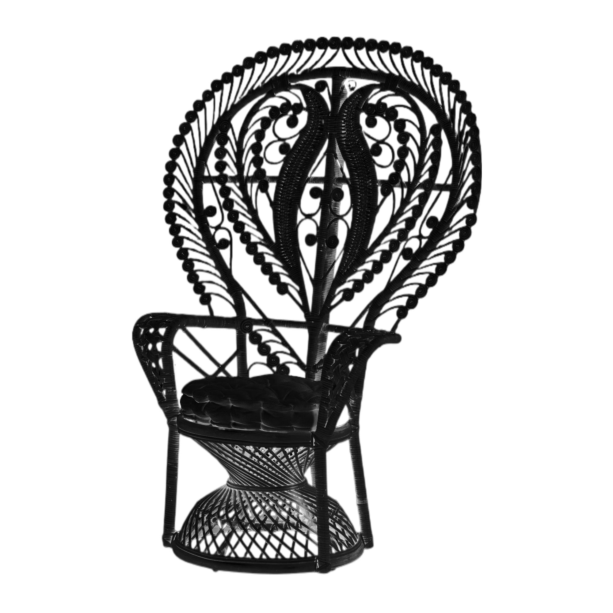 Adult Black Whimsical Peacock Chair | Rental