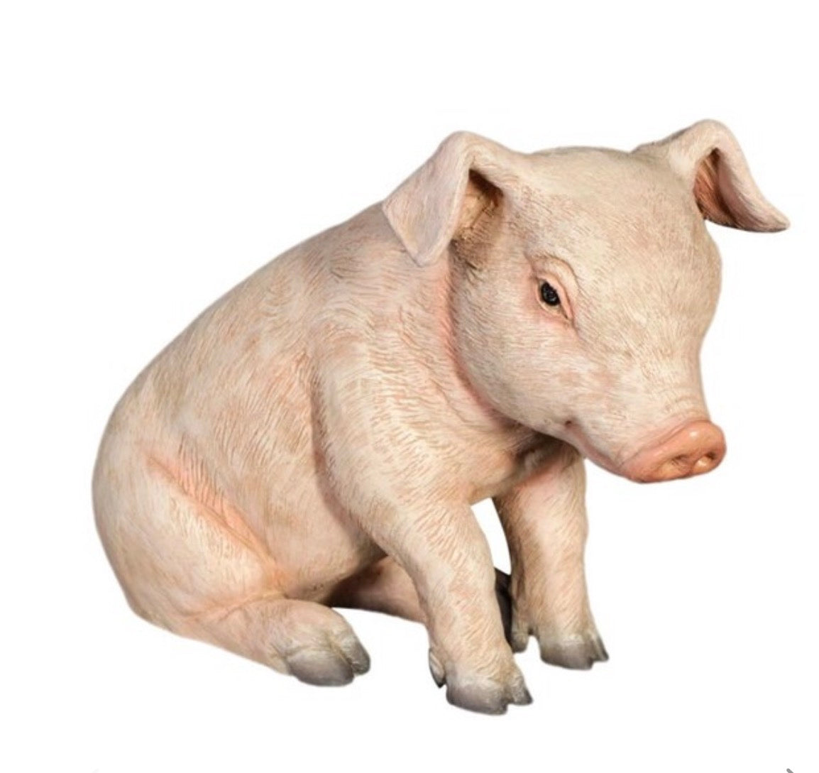 Baby Sitting Piglet | Rental