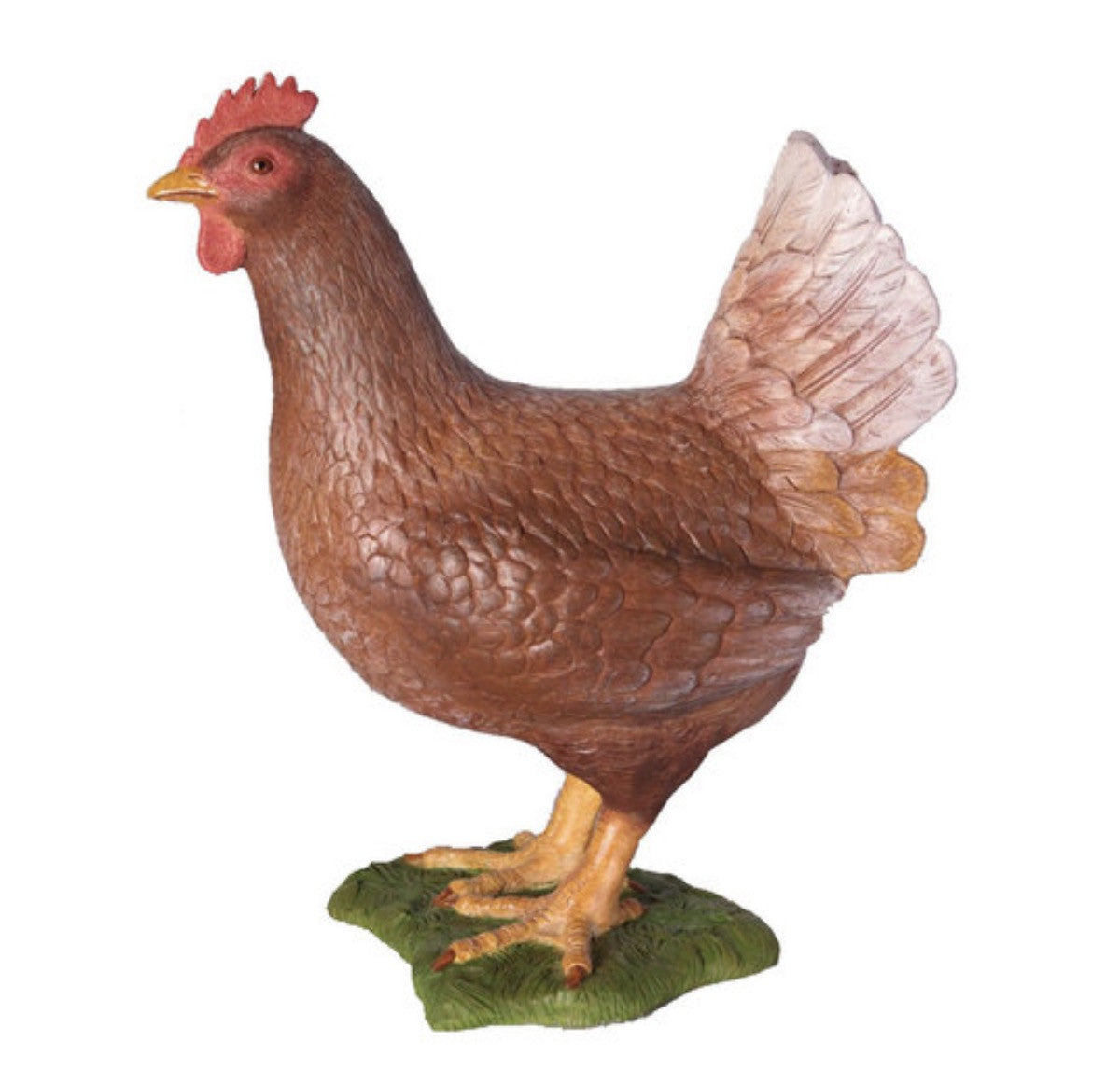 Brown Chicken Hen | Rental