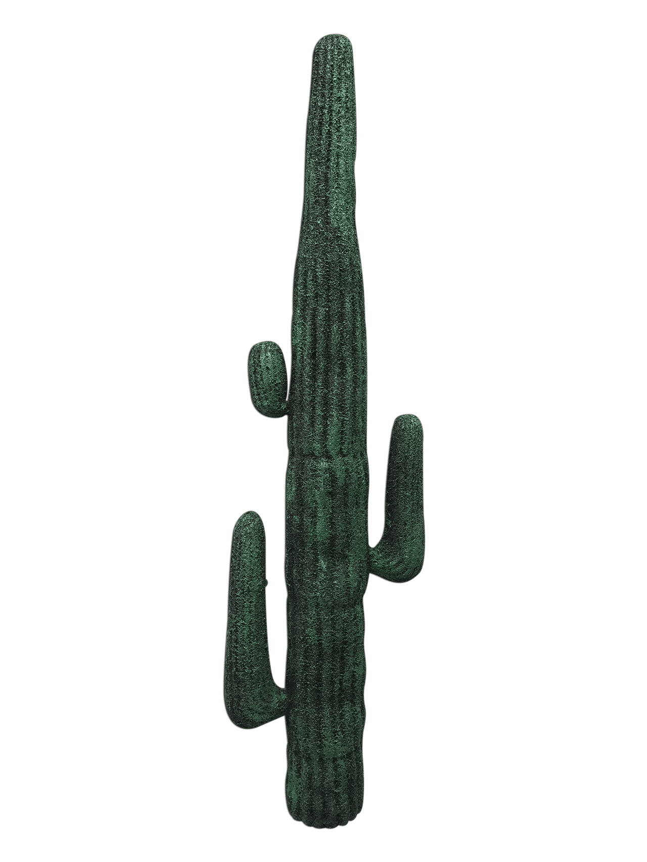 Desert Cactus | Rental