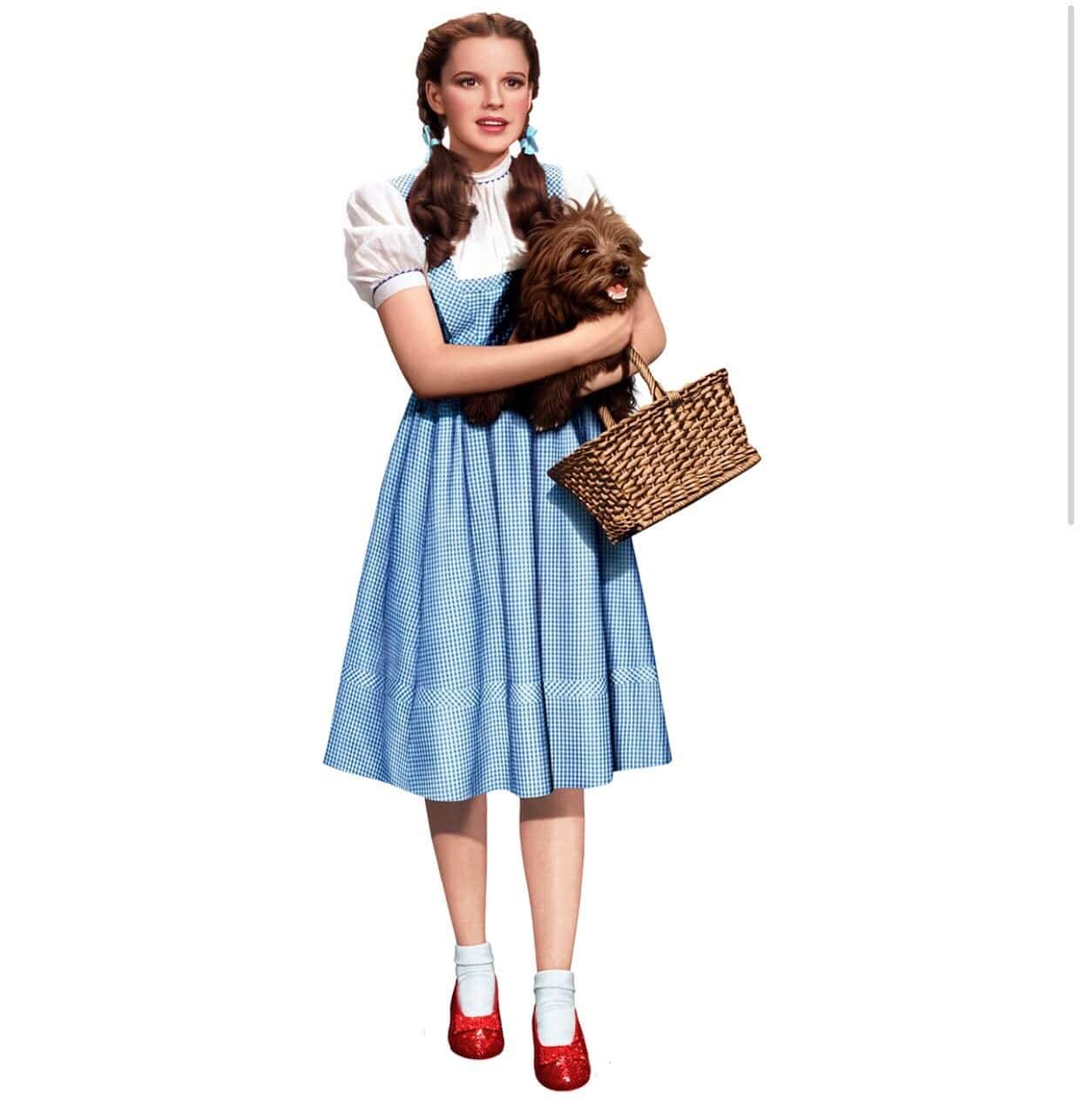 Dorthy Wood Cut Out Standee | Rental