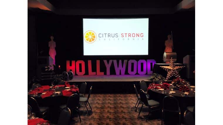 Giant Hollywood Sign Prop 1D Rental | Rental