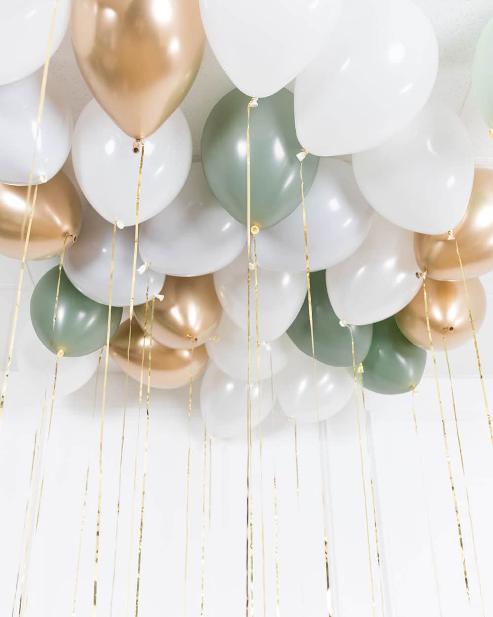 Botanical – 11in Ceiling Balloons – set of 25 | Purchase