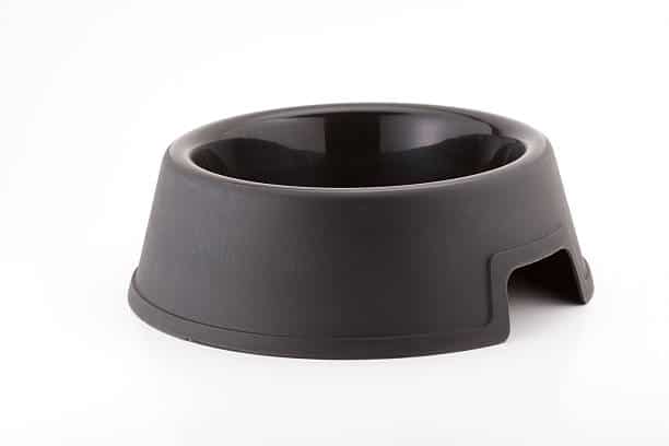 metal-detector-rentals